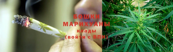 индика Волоколамск
