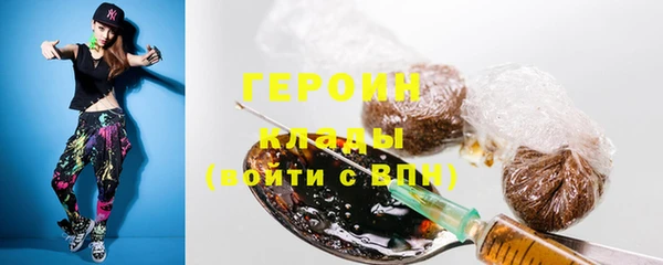 индика Санкт-Петербург