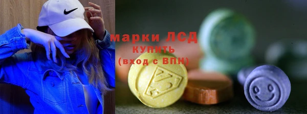 индика Волоколамск