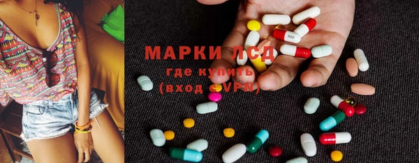 индика Волоколамск