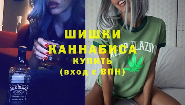 индика Волоколамск